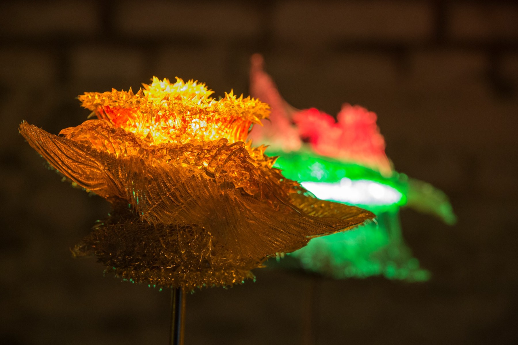 elysium, detail of a light flower